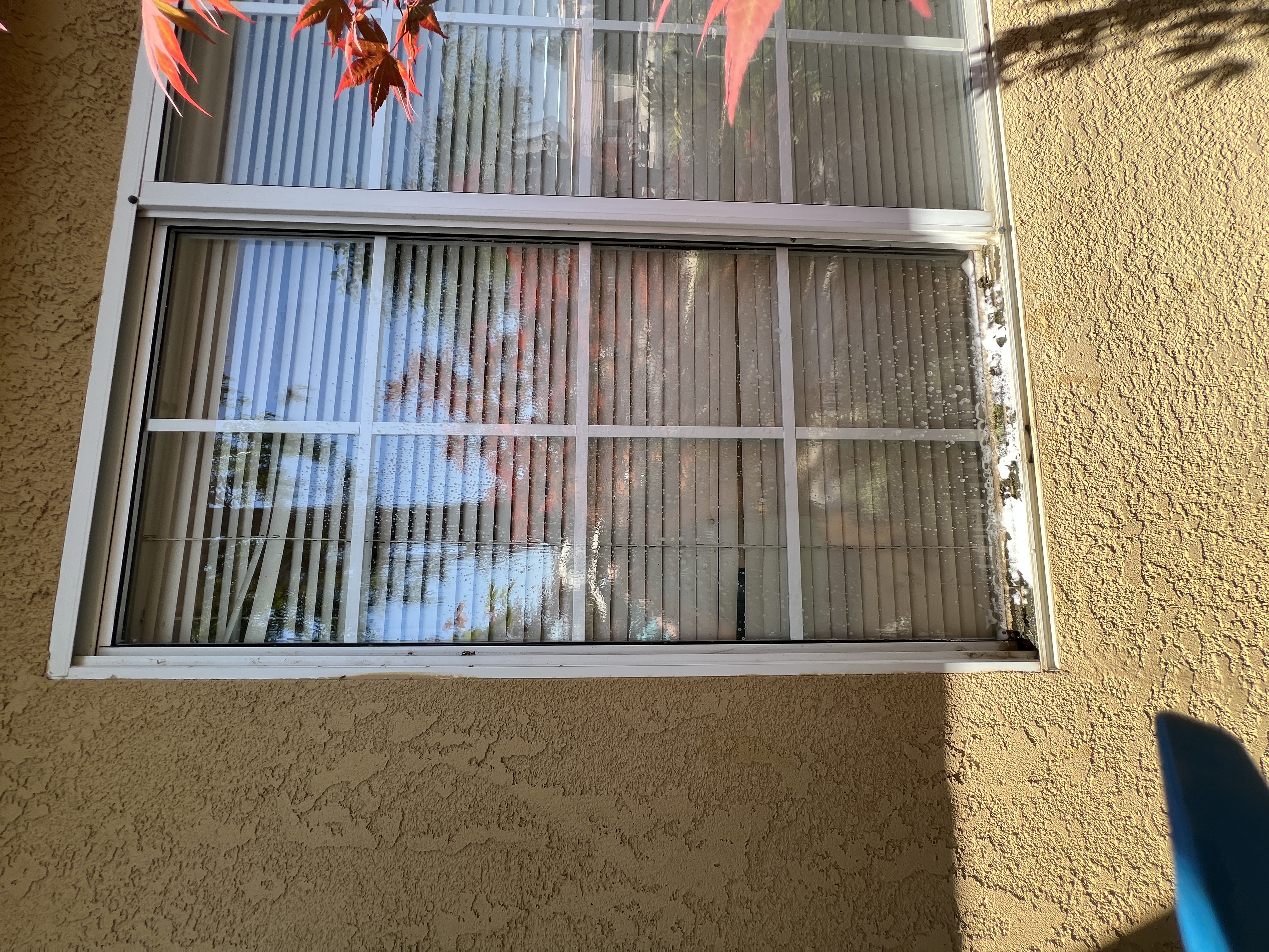 Clean exterior window after residential window cleaning service Clovis CA